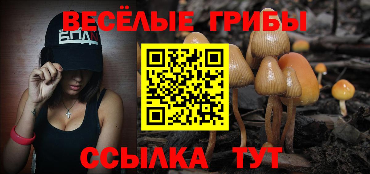 Галлюциногенные грибы Magic Shrooms Биробиджан