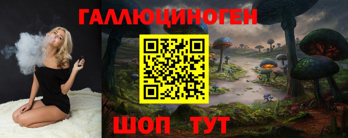 закладки  Псилоцибиновые грибы прущие грибы  Вход с VPN  Псилоцибиновые грибы мухоморы  Биробиджан 